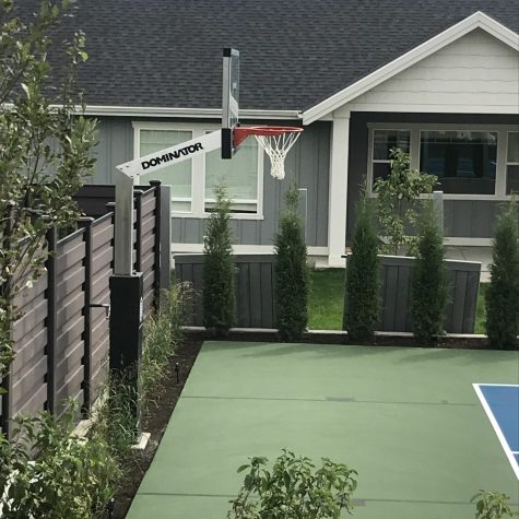 Dominator Basketball Hoops