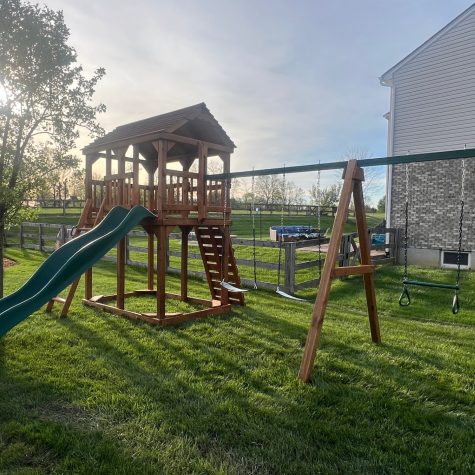 Backyard Basics Swingset Model 1000