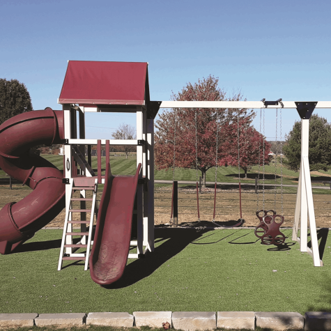 Country Lane Swingsets - Model CL102