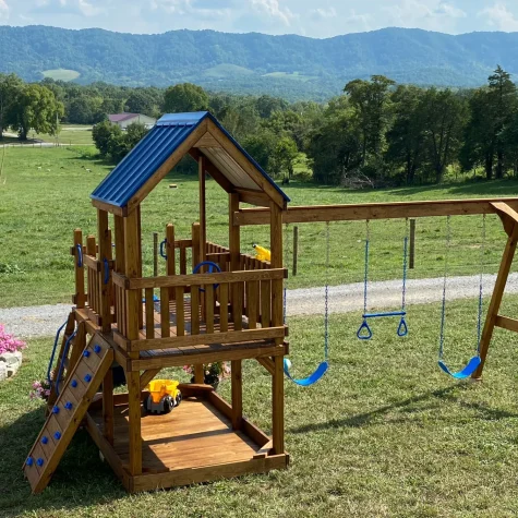 Maple Lane Swingsets